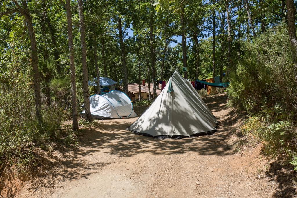 Micro Cabana Rotativa Bragança Zewnętrze zdjęcie